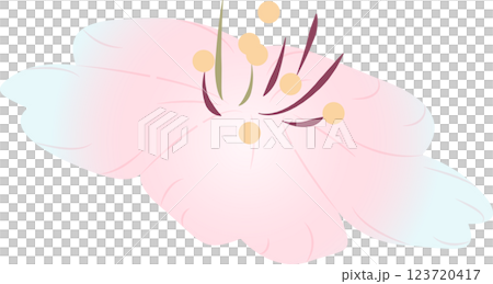 さくら さくら 123720417