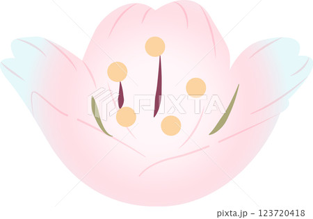 さくら さくら 123720418