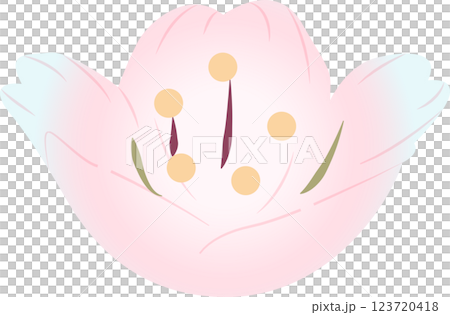 さくら さくら 123720418