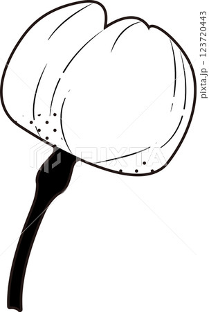 さくら さくら 123720443