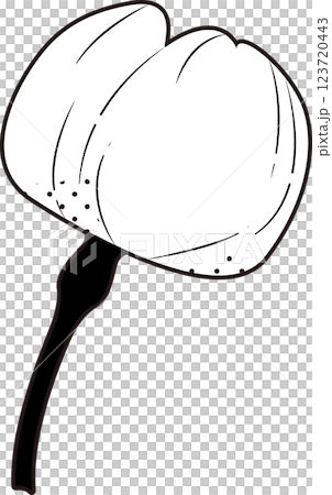 さくら さくら 123720443