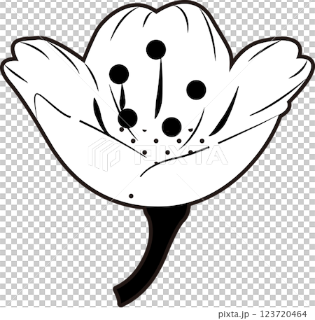 さくら 123720464