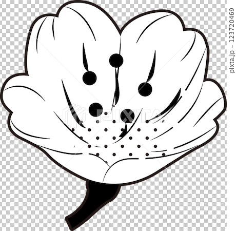 櫻花 櫻花 123720469