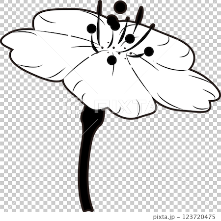 さくら さくら 123720475