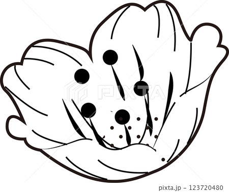 さくら さくら 123720480