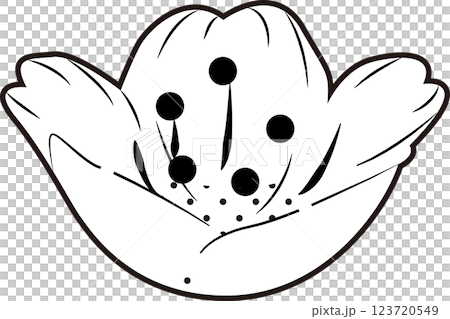 櫻花 櫻花 123720549