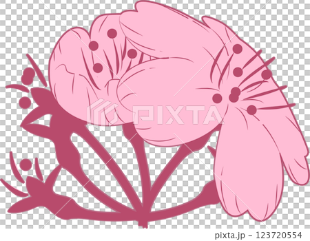 さくら さくら 123720554