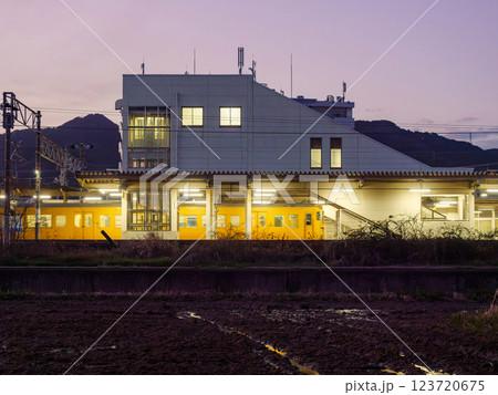 電車が到着したローカル駅 123720675