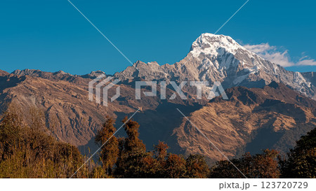 Morning sunlight highlights the majestic peaks of Annapurna range 123720729
