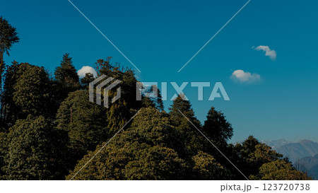 Lush green trees forest in Ghorepani in Nepal showcasing natural beauty and mountains on horizon Lush green trees forest in Ghorepani in Nepal showcasing natural beauty and mountains on horizon 123720738