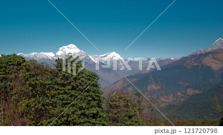 Stunning views of Annapurna range in Ghorepani, Nepal during the day, pan 123720798