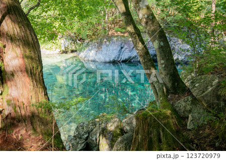 ＜長野＞阿寺渓谷　狸ヶ淵 123720979