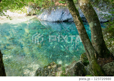 ＜長野＞阿寺渓谷　狸ヶ淵 123720980