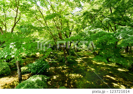 圓光寺 十牛之庭 圓光寺 十牛之庭 123721014