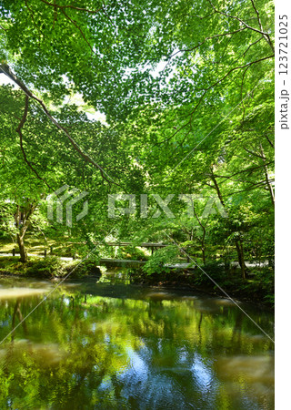 圓光寺　十牛之庭　栖龍池 123721025