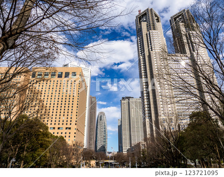 東京都市風景 晩冬の新宿中央公園から望む西新宿の超高層ビル街 東京都市風景 晩冬の新宿中央公園から望む西新宿の超高層ビル街 123721095