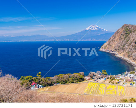 【静岡県】菜の花が美しい、西伊豆・煌めきの丘から望む富士山 123721171