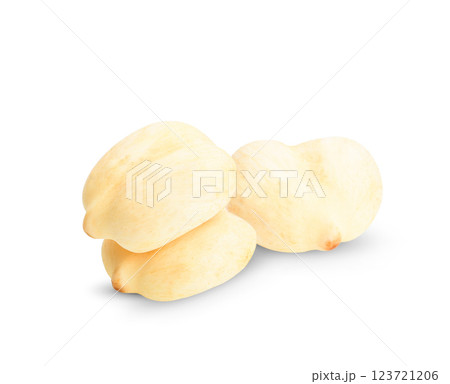 Toddy palm, Sugar palm on white background. 123721206