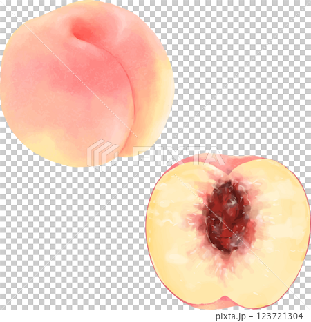 手描き桃 123721304