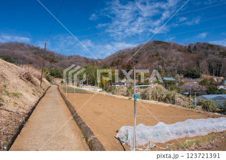 長閑な細い農道の風景 鶴巻温泉 北矢名 長閑な細い農道の風景 鶴巻温泉 北矢名 123721391