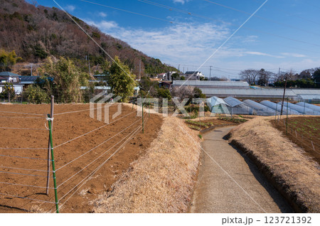 長閑な細い農道の風景 鶴巻温泉 北矢名 長閑な細い農道の風景 鶴巻温泉 北矢名 123721392