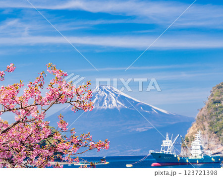 (静岡県)河津桜が咲いた、西伊豆戸田港から望む富士山 (静岡県)河津桜が咲いた、西伊豆戸田港から望む富士山 123721398