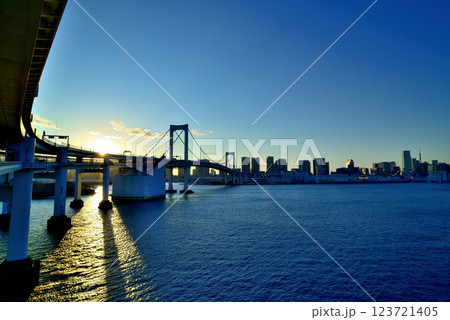 レインボーブリッジ北ルート遊歩道から見るレインボーブリッジと有明・晴海・芝浦の風景 123721405