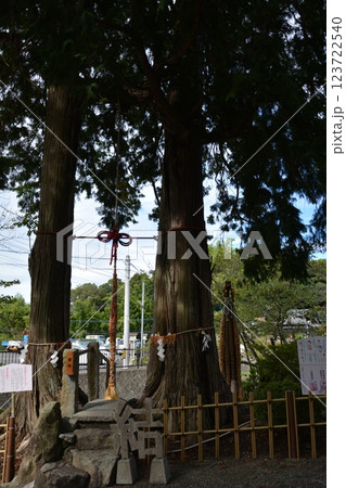 福岡県筑後市　恋木神社の林道の風景 123722540