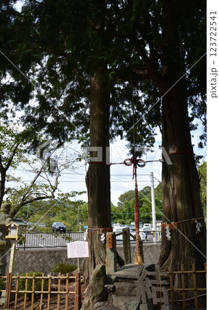福岡県筑後市 恋木神社の林道の風景 福岡県筑後市 恋木神社の林道の風景 123722541