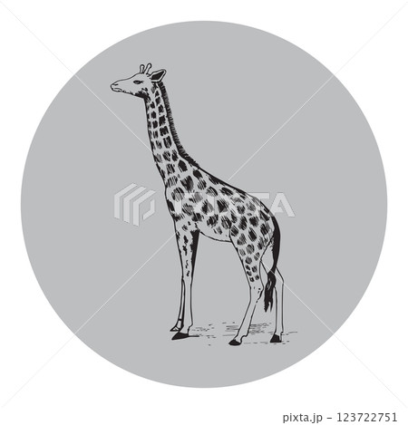 Giraffe silhouette editable vector illustration 123722751