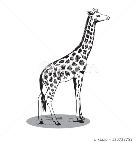 Giraffe silhouette editable vector illustration 123722752
