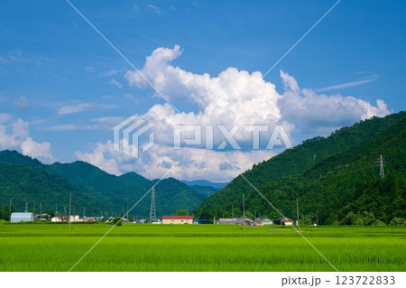 夏の田んぼと青い空 夏の田んぼと青い空 123722833