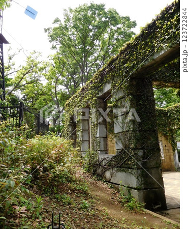 港の見える丘公園 旧フランス領事館邸跡遺構 港の見える丘公園 旧フランス領事館邸跡遺構 123722844
