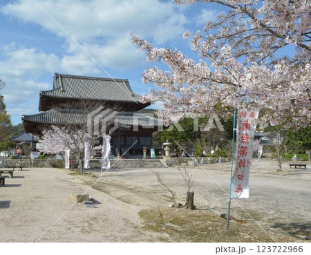 周防国分寺の桜 123722966