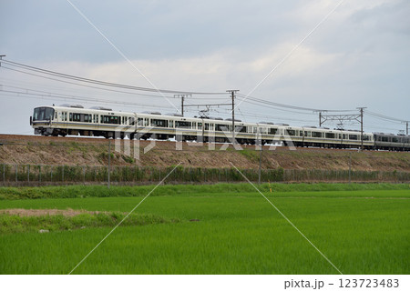 東海道本線を走る221系普通電車 東海道本線を走る221系普通電車 123723483
