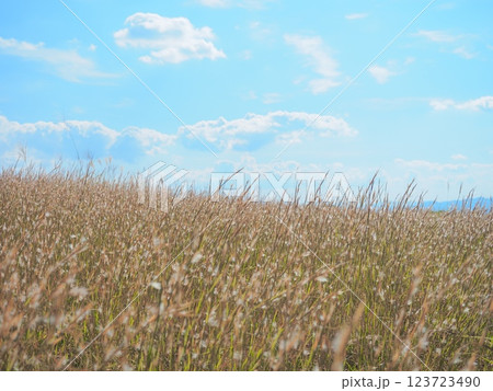鹿児島県湧水町　栗野岳レクリエーション村の山の風景 123723490
