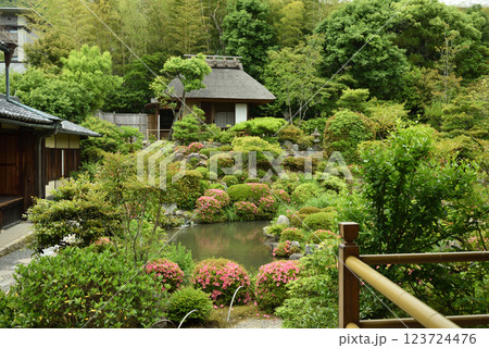 春の等持院　茶室・清漣亭と庭園・芙蓉池(京都市北区) 123724476