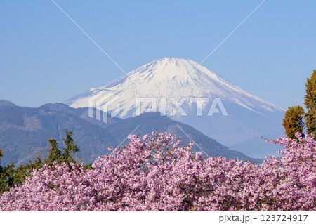 松田山から早春の富士山 松田山から早春の富士山 123724917