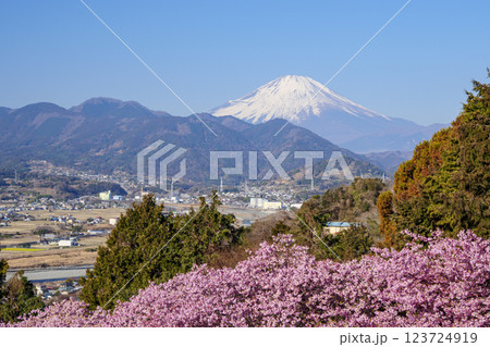 松田山から早春の富士山 123724919