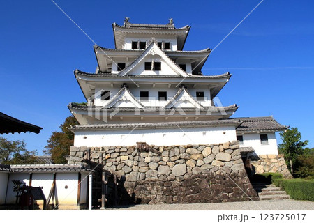 郡上八幡城 郡上八幡城 123725017