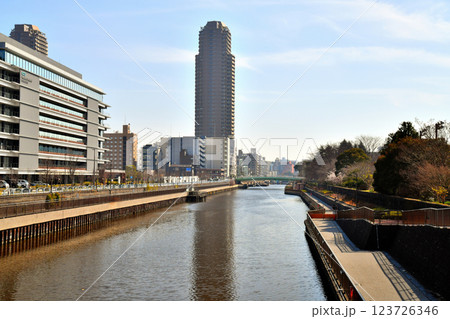 清水橋／横十間川より本村橋方面を望む(東京都江東区)【2025.3】 123726346