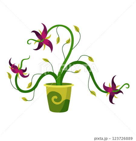 Carnivorous plant in fantasy design. Cartoon flytrap in pot, plant monster. Vector flower predator with teeth isolated on white background Carnivorous plant in fantasy design. Cartoon flytrap in pot, plant monster. Vector flower predator with teeth isolated on white background 123726889