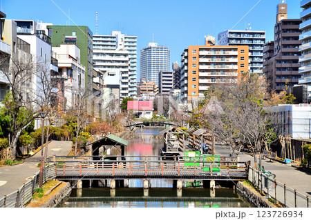 木場橋より木場親水公園方面を望む(東京都江東区)【2025.3】 123726934