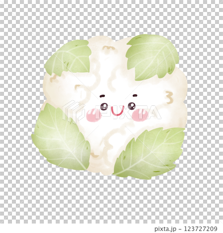 Cute cauliflower  123727209