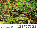 古木の生命力 123727322