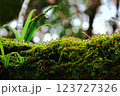 無数の雫 123727326
