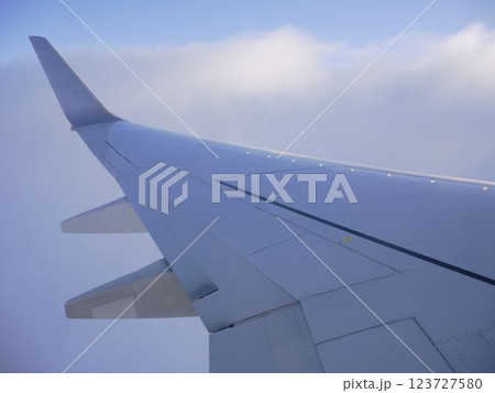 飛行機の翼 123727580