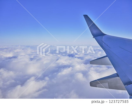 飛行機の翼 123727585