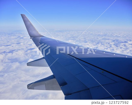 飛行機の翼 飛行機の翼 123727592