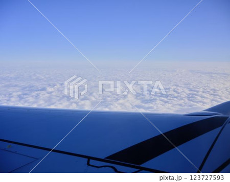 飛行機の翼 飛行機の翼 123727593
